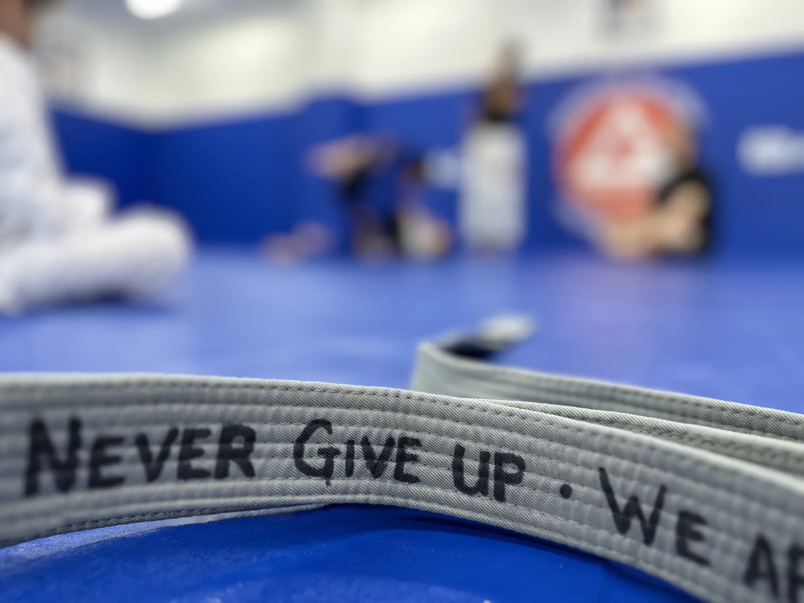BJJ Belt System Explained: Complete Guide to Ranks and Progression